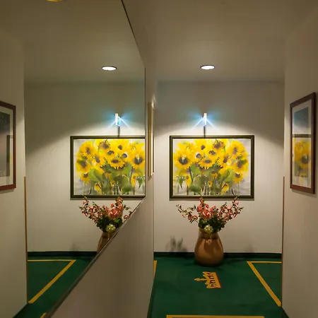 凯撒霍夫城市酒店 酒店 4*